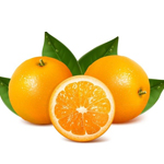 Orange Extract