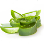 AloeVera Extract