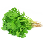 Coriander