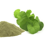 Kuppaimeni Extract