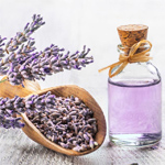 Lavender Oil