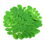 Moringa Leaves