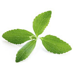Stevia