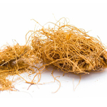 Vetiver