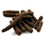 Long pepper